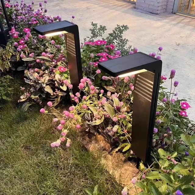 לביא אור גן סולארי