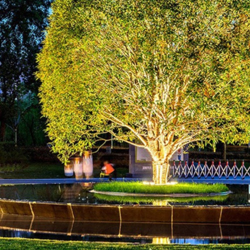 זרקור חיצוני לעץ