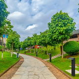 לביא אור גן סולארי