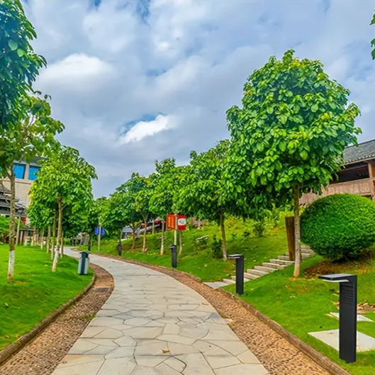 לביא אור גן סולארי